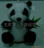 小熊猫 图片