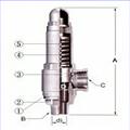 進(jìn)口蒸氣安全閥 圖片