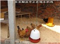 发酵床养鸡专用菌种 供应信息