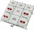 BXQ51防爆动力（照明）配电箱 图片
