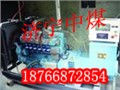 JNZM1000-沼气发电机 图片