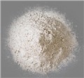 聚合物水泥砂浆防水改性剂 图片