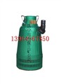 BQS（W）50-150/2-45/N排污排沙潜水电泵 图片