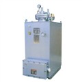 ZPXEX-30kg/h液化气气化炉 图片