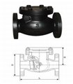 鑄鐵止回閥 圖片