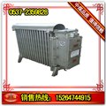 RB2000/127(A)矿用隔爆型电热取暖器，矿用取暖器，电加热取暖器 图片