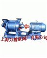 SZ系列水环式真空泵 图片