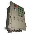 非标防爆配电箱 配电柜 BXM(D)59 控制柜 图片