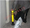 订做各种规格固定桩 广州安装防护桩 活动式隔离桩 图片