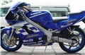 全新川崎ZXR250摩托車報價2100元 圖片